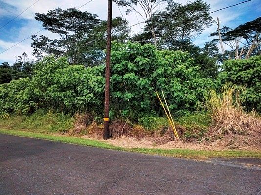 3rd image of Maikoiko St Lot 20