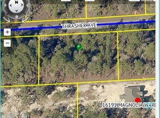 11026 Thrasher Ave, Weeki Wachee, FL 34614