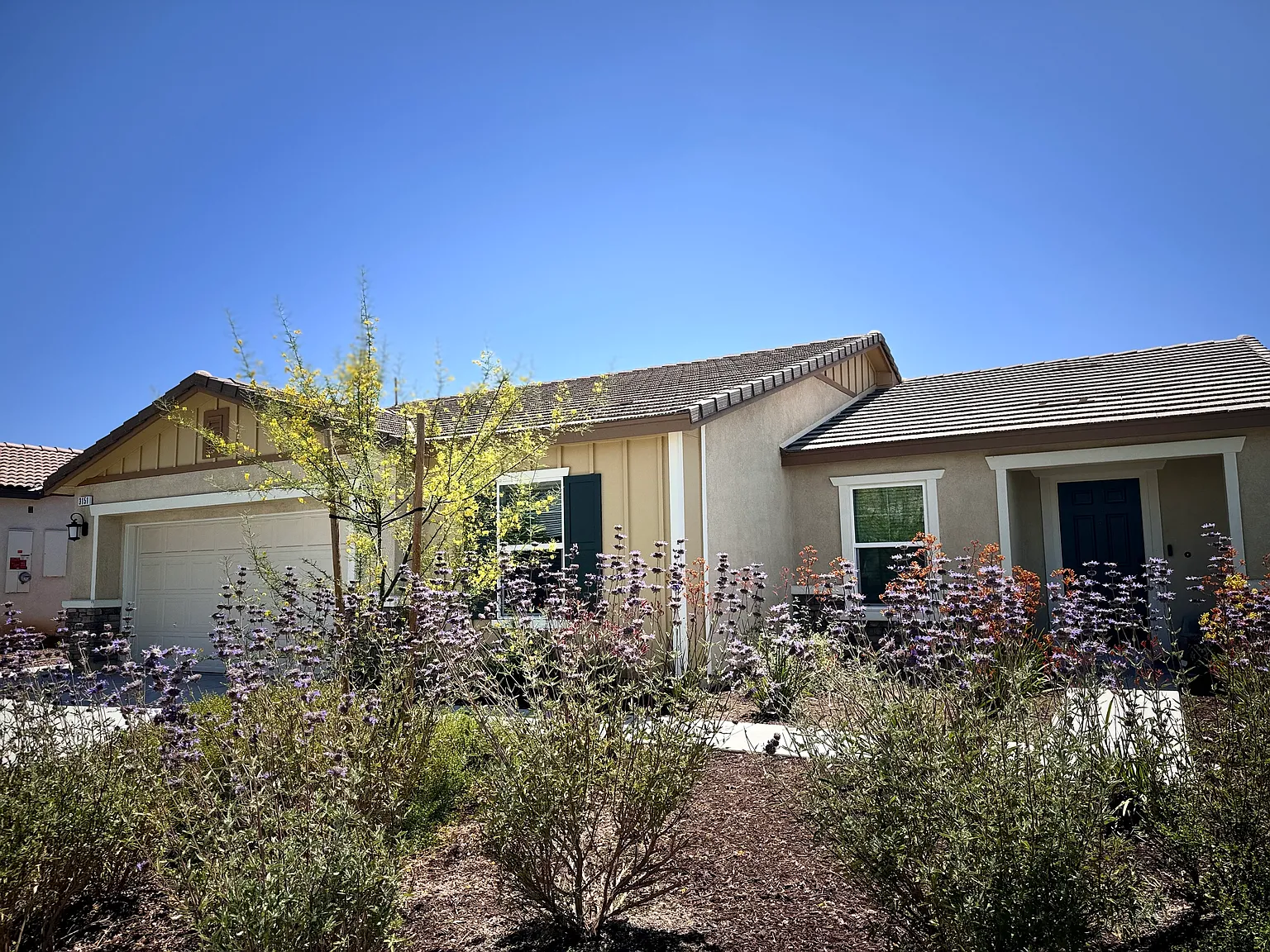 3151 Stargazer St — Photo 2
