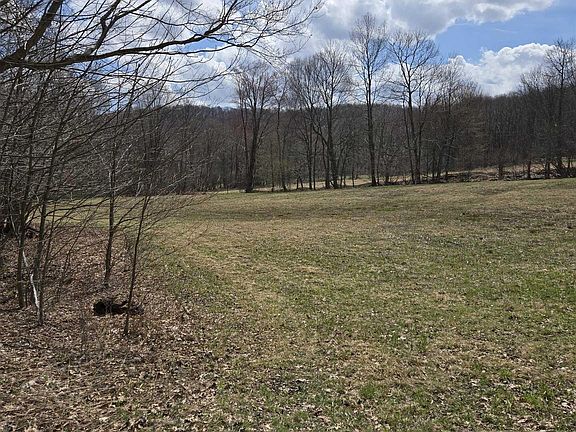 2nd image of 0 Cupps Run Rd