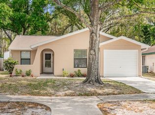 12401 Hidden Brook Dr, Tampa, FL 33624