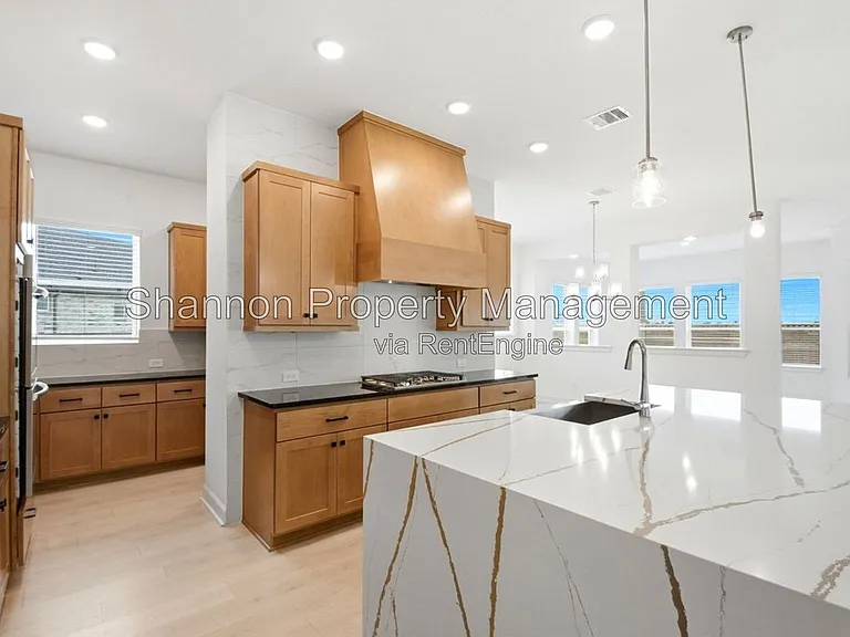 14314 Olive Harbor Trl — Photo 7