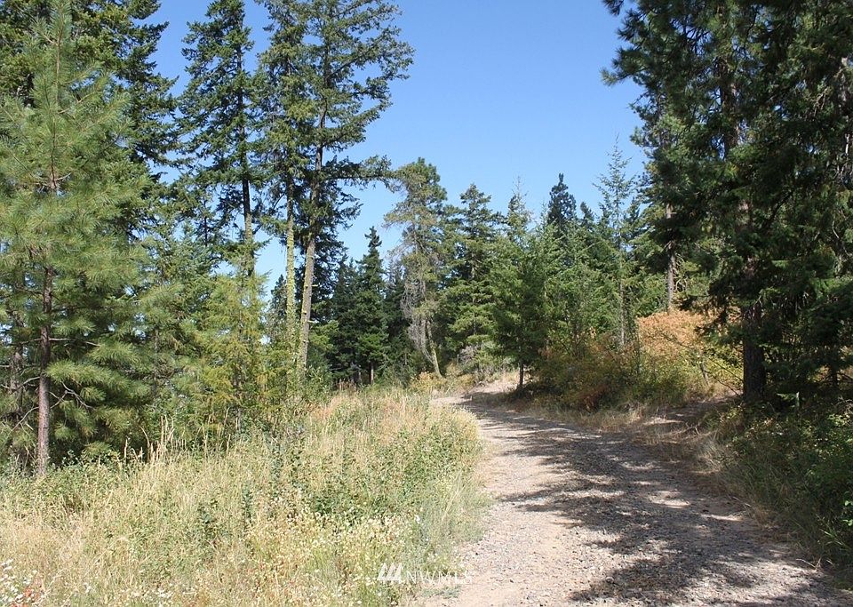 2nd image of 0 11-2 Tillman Creek