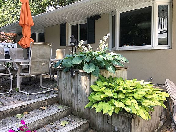 Rear patio