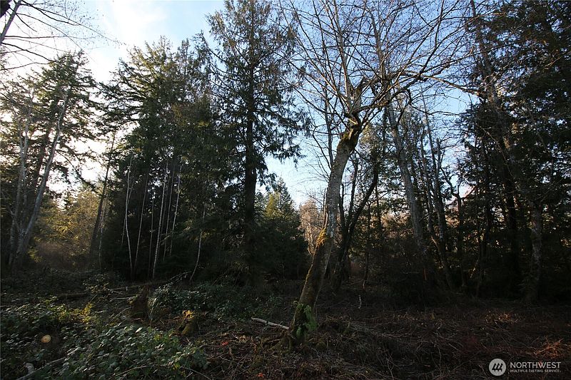 3rd image of 0 91st Ave SW