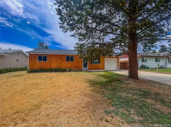 1300 Mount Massive Dr, Leadville, CO 80461