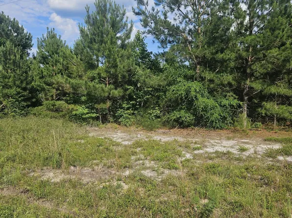 0 Mckoy Loop Road, Ivanhoe, NC 28447