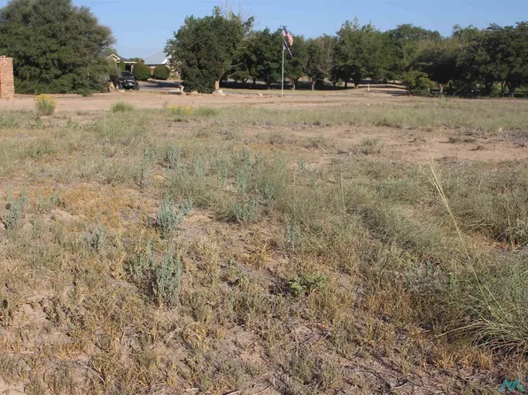 36 Lake Van Dr, Dexter, NM 88230