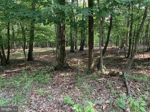 55 Grimaldi Way, Hedgesville, WV 25427