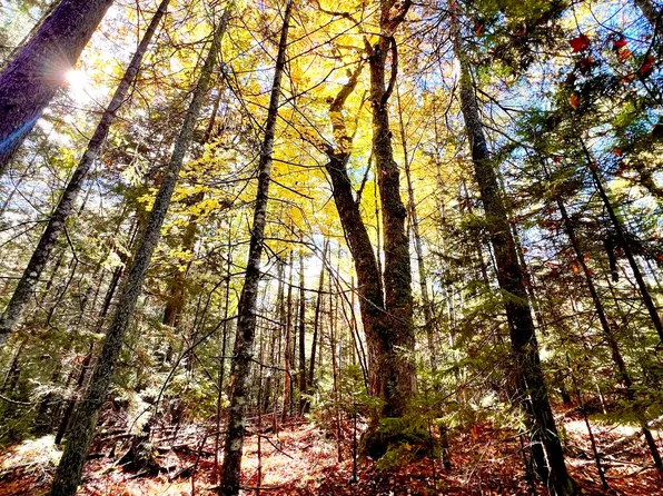 Lot #E Windsong Way, South Bristol, ME 04573