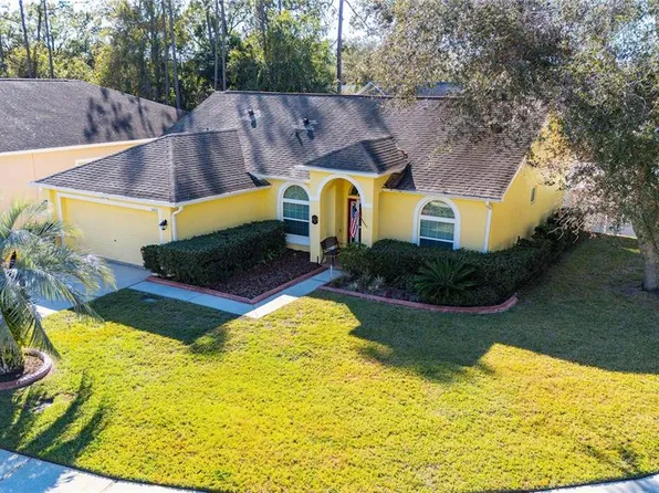 5215 New Brittany Ln, Zephyrhills, FL 33541