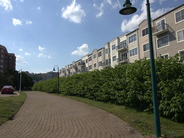 340 The Promenade — Photo 43