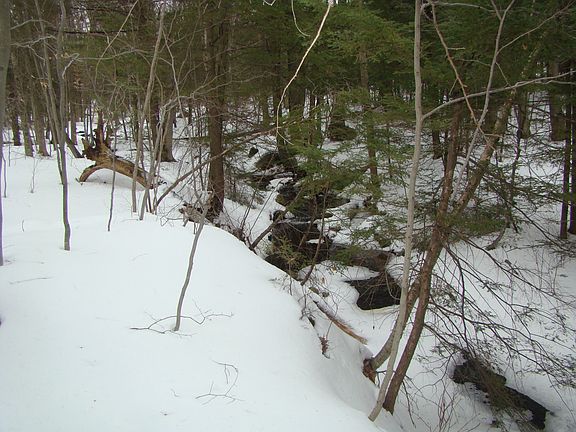 Part of the Property