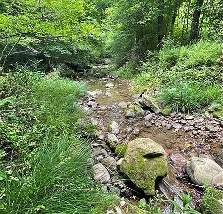 3rd image of Greenlee Rd Lot 1A