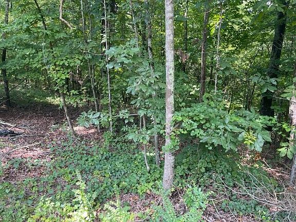 3rd image of 6901 River Run Dr