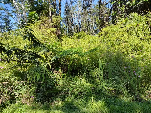 Forest Rd Lot 339, Pahoa, HI 96778