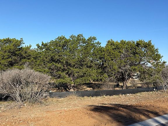 4th image of 20011 Clayton Nolen Drive