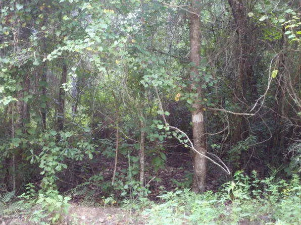 0 Tj Mitchell Rd, Bonifay, FL 32425