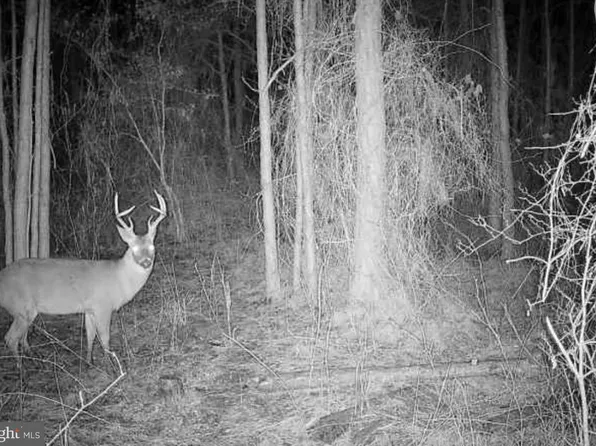 0 Boone Rd Parcel 463, Crisfield, MD 21817