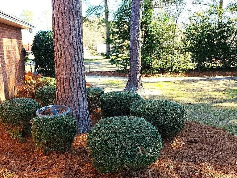1450 Morris Way Dr — Photo 2