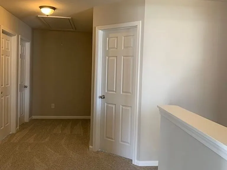213 Carolina Town Ln — Photo 12