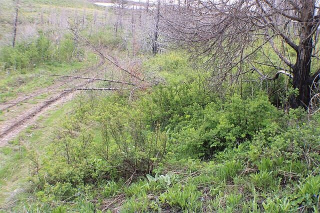 1st image of 44 Caribou Village Subdivision Chase #1