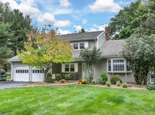 10 Woodshire Way, Hillsborough, NJ 08844