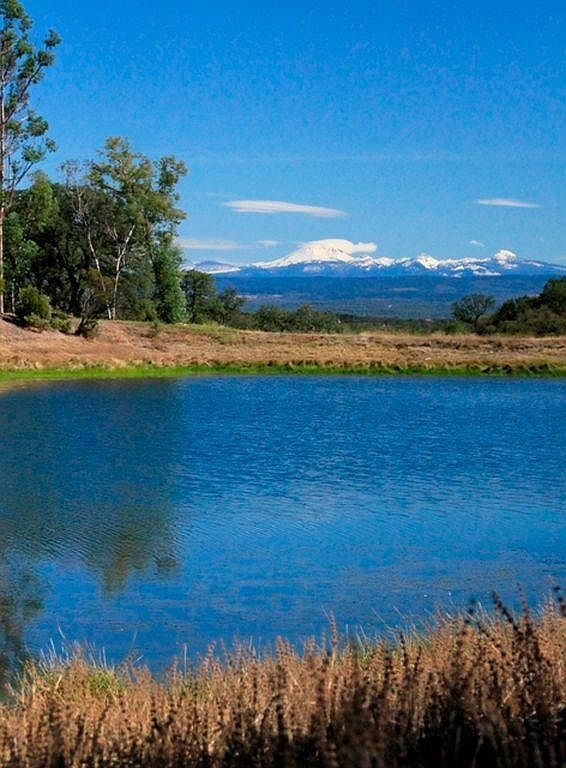 Charolais, Palo Cedro, CA 96073 Zillow
