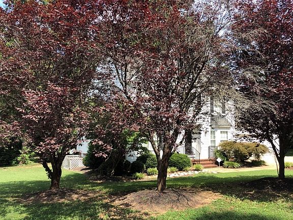 3rd image of 2312 Grey Oak Dr