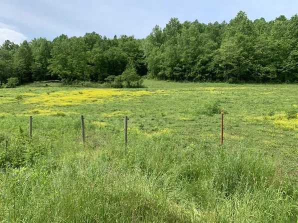 13581 Campbellsville Rd, Lynnville, TN 38472