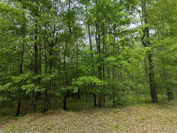 2nd image of 0 Pine Grove Rd