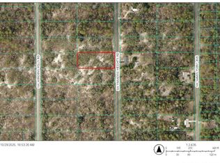 SW Paradise Heights Rd LOT 10, Dunnellon, FL 34431