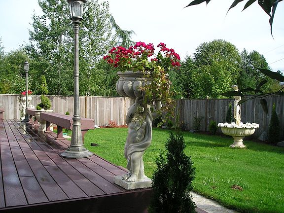 Back yard