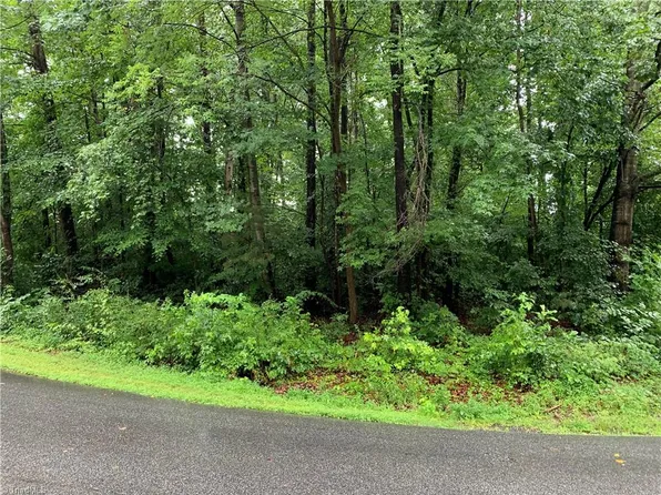 603 Green Tree Dr #18, Lewisville, NC 27023