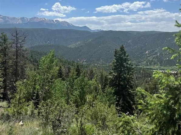 8743 High Mark Point, Woodland Park, CO 80863