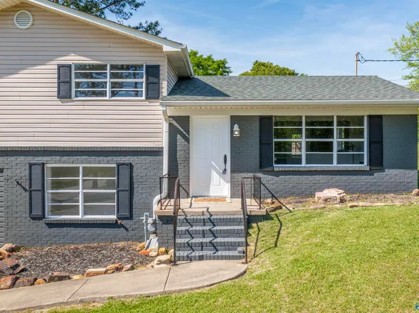 3200 Hall Dr, Southside, AL 35907