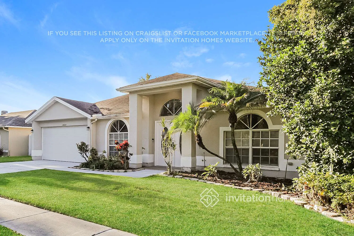 24424 Painter Dr Land O Lakes, FL 34639 — Photo 3