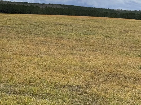 0 Equine Way Lot 81-E, Spencer, TN 38585