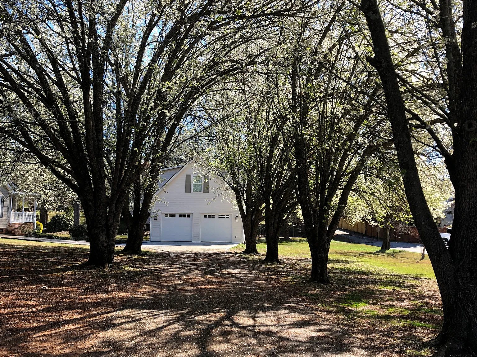 Studio, 600 sqft, $2,500 — Photo 2