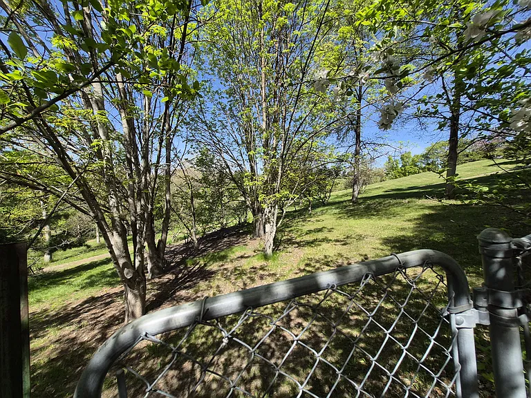 1431 Alpowa Ave — Photo 6