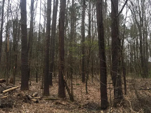 Kings Arms Rd Lot 44, Starkville, MS 39759