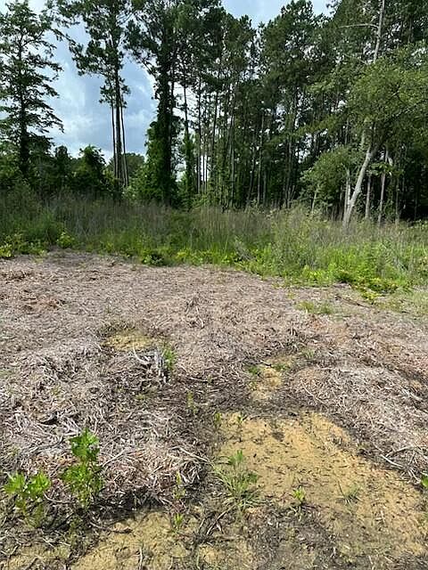 2nd image of 0 Sinclair Rd