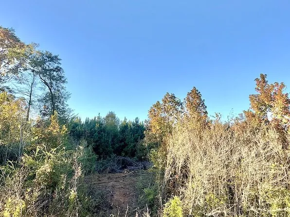 Township Road 2 Hwy #21E, Hemphill, TX 75948