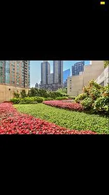 Sold by Owner | media 18