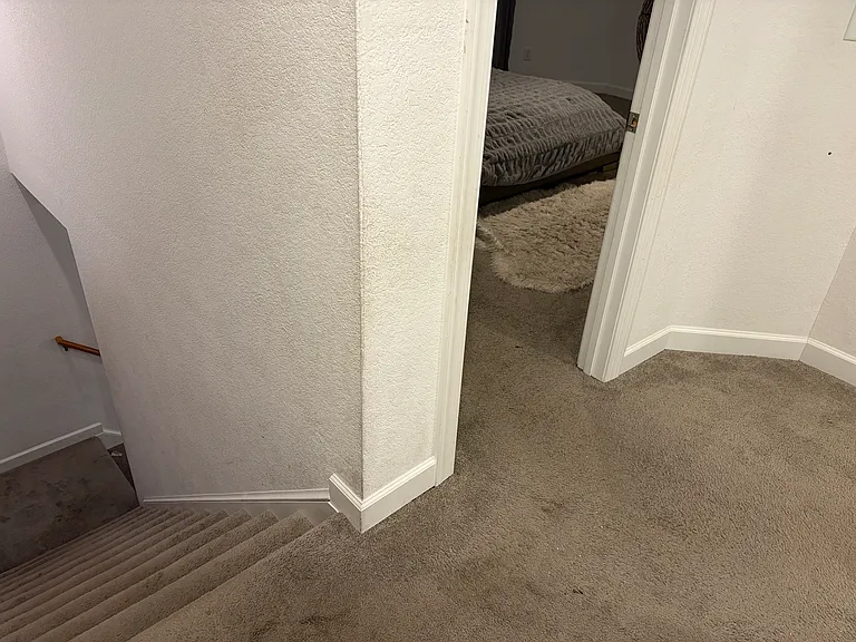 1257 Jadens Way — Photo 19