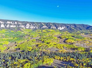 140 Forest Service Rd #858, Cimarron, CO 81220