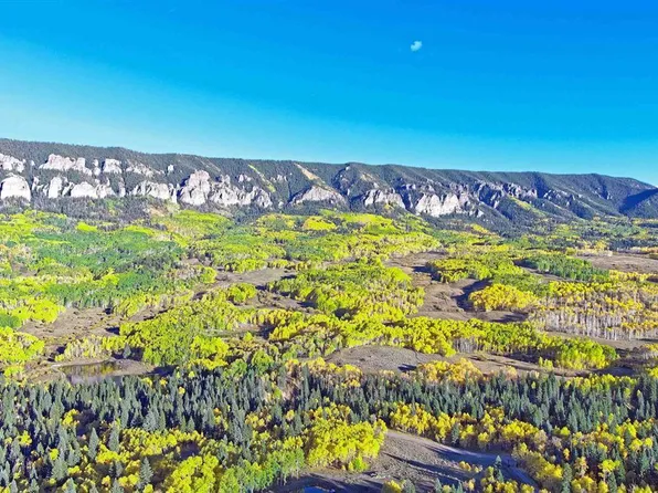 140 Forest Service Road 858, Cimarron, CO 81220