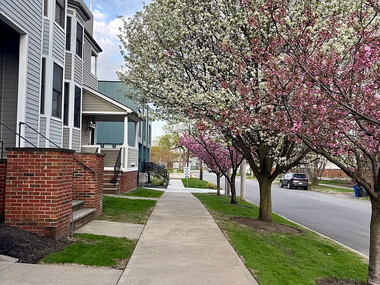 Herman Ave