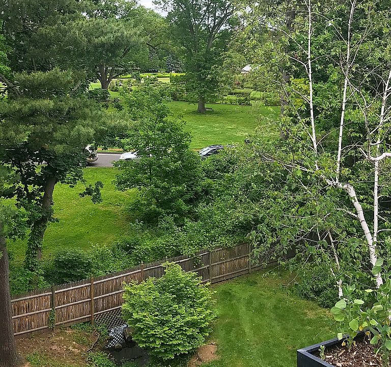 View from the Balcony