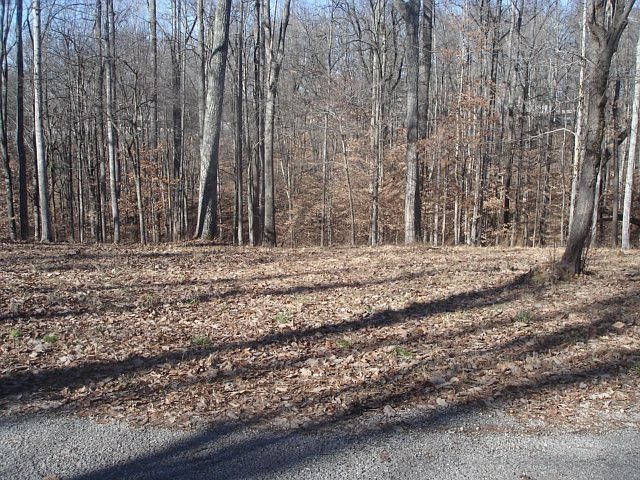 View of the property